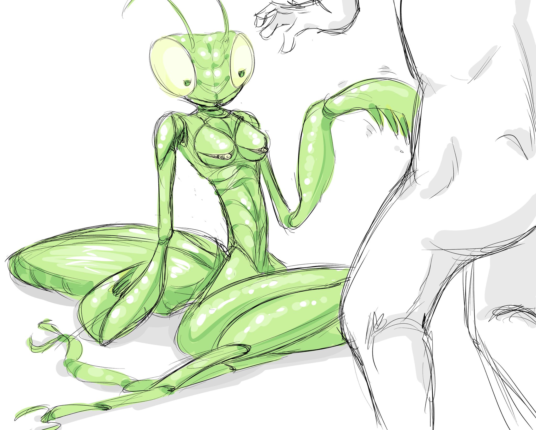 abdomen, antennae, breasts, bug girl, female, goatboydraws, half-closed eyes, imminent sex, insect, insects, interspecies, mantis, non-mammal breasts, praying mantis