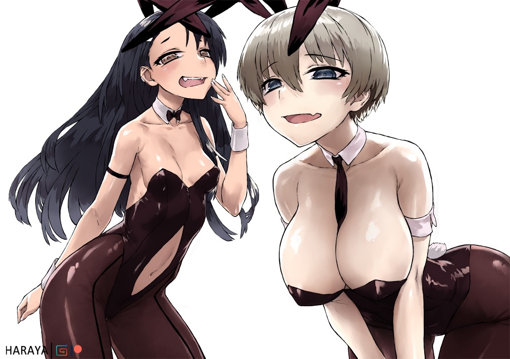 2girls beach big_breasts black_hair blue_eyes breasts brown_eyes bunny_ears bunny_girl bunnysuit cleavage curvy female_focus female_only grey_hair haraya hayase_nagatoro long_hair looking_at_viewer multiple_girls open_mouth pantyhose please_don't_bully_me,_nagatoro pose public short_hair simple_background skinny tan tanned uzaki-chan_wa_asobitai! uzaki_hana watermark wide_hips