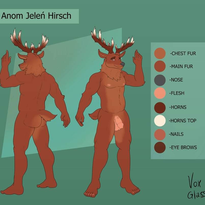 anom_hirsch anonymous_artist anthro antlers brown_body brown_fur cervid cervine fur horn male mammal model_sheet red_deer solo