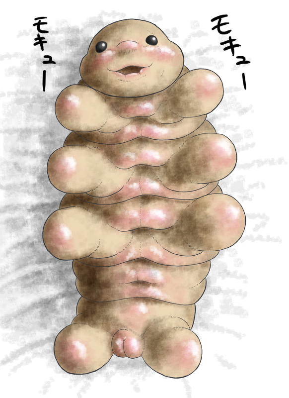 tagme tardigrade water_bear