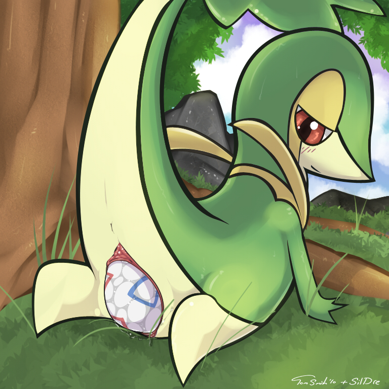 egg insomniacovrlrd pokemon pokemon_(species) pokemon_bw pokemon_egg sildre snivy togepi_egg