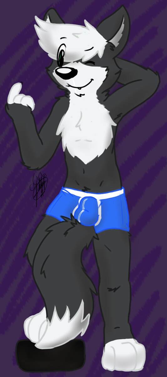 2015 anthro balls_outline beckoning biped black_body black_ears black_fur black_nose blue_clothing blue_underwear boxer_briefs bulge canid canine chest_tuft clothing detailed_bulge digitigrade dipstick_tail eyebrow_through_hair eyebrows fur gaokun genital_outline gesture grey_inner_ear hair hand_behind_head male mammal markings multicolored_body multicolored_fur one_eye_closed simple_background solo tail_markings translucent translucent_hair tuft two_tone_body two_tone_fur underwear watermark white_body white_fur white_hair wink