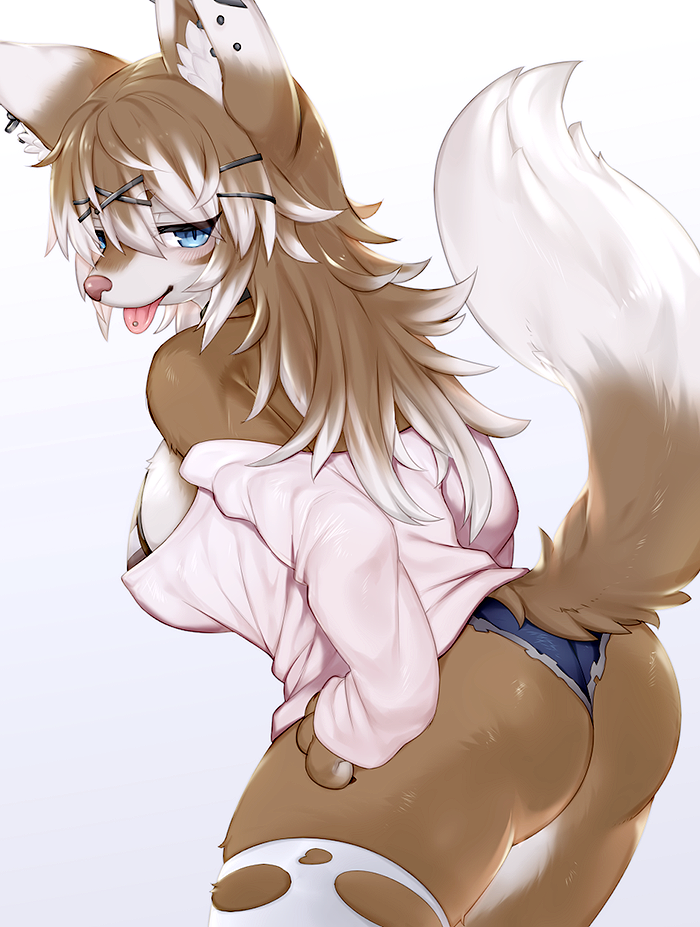 anthro ass blue_eyes breasts brown_body brown_fur butt canid canine canis clothed clothing dat_ass ear_piercing female fur hair inner_ear_fluff kemono looking_back mammal mofuaki multicolored_body multicolored_fur multicolored_hair piercing simple_background solo tongue tongue_out tongue_piercing torn_clothing tuft two_tone_body two_tone_fur two_tone_hair white_body white_fur wolf zil_(mofuaki)