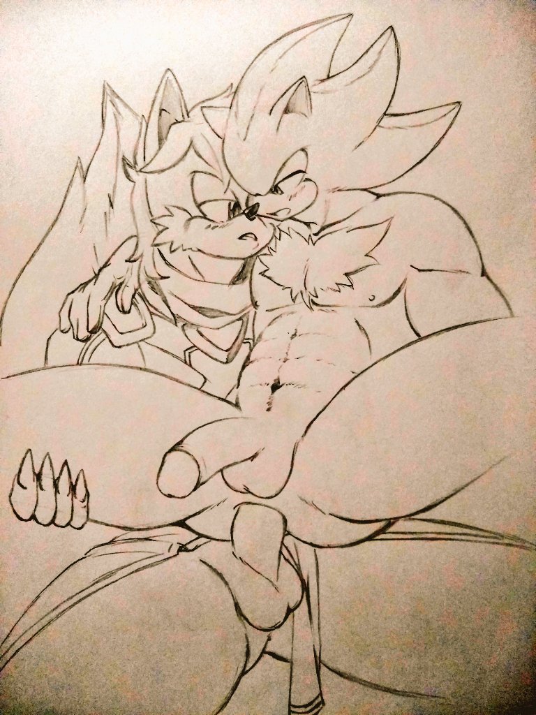 abs anal anthro balls blush duo genitals male male/male nipples nude penis sega shadow_the_hedgehog sonic_(series) sonic_the_hedgehog_(series) tailverknk