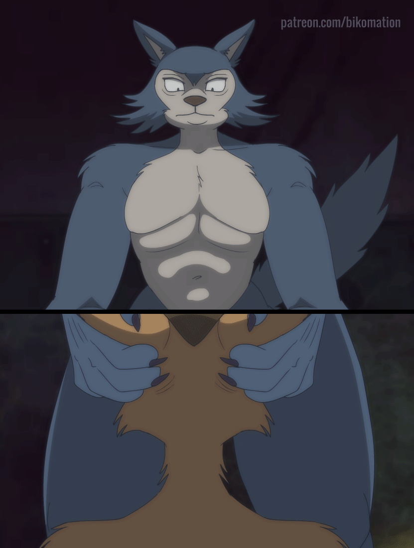 2025, 2boys, 2d, 2d animation, 5 fingers, animated, animation, anthro, anthro on anthro, anthro penetrated, anthro penetrating, anthro penetrating anthro, athletic, athletic male, beastars, belly, better version at source, biceps, bikomation, black eyes, black nose, blowjob, blowjob gesture, blowjob pov, body grab, body hair, boys, brown body, brown fur, canid, canine, canis, cheek tuft, chest hair, claws, countershading, coyote, deep throat, deepthroat, deepthroat mark, digital media, digital media (artwork), dominant, dominant anthro, dominant male, dominated, domination, duo, durham (beastars), embrace, embracing, embracing another, embracing during sex, eyebrows, facial expression, facial expressions, facial tuft, finger claws, fingers, first person view, fluffy, fluffy cheeks, fluffy chest, fluffy ears, fluffy hair, fluffy tail, forced, forced oral, frame by frame, fur, furry, gay, good boy, grey body, grey fur, hands on head, head grab, head pull, head push, head pushed down, holding head, hugging, interspecies, kneeling, kneeling oral position, legoshi (beastars), looking at another, looking at partner, looking at viewer, looking down, looking pleasured, male, male only, male penetrated, male penetrating, male penetrating male, male/male, mammal, muscular, muscular anthro, muscular male, naked, narrowed eyes, navel, netflix, nude, nude anthro, nude male, oral, oral penetration, oral pov, oral sex, penetrating, penetrating pov, penetration, pleasure, pleasure face, pleasured, pleasured face, pov, pov penetration, raised tail, room 701, roommate, roommates, sex, shadow, short playtime, stomach, tail, tail motion, tailwag, tan body, tan fur, tuft, wolf