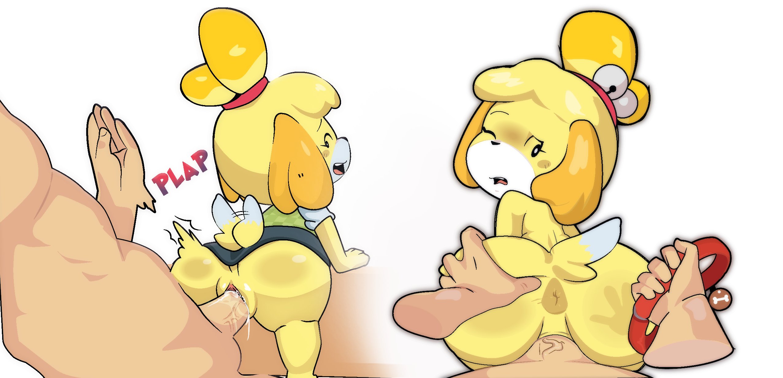 1boy, 1girls, animal crossing, animal crossing new leaf, anthro, anus, ass, ass grab, blush, canine, collar, doggy style, female, furry, gosgoz, isabelle (animal crossing), looking back, male, male pov, nintendo, pov, pussy, size difference, spank marks, spanked, vaginal penetration, wince, yellow fur