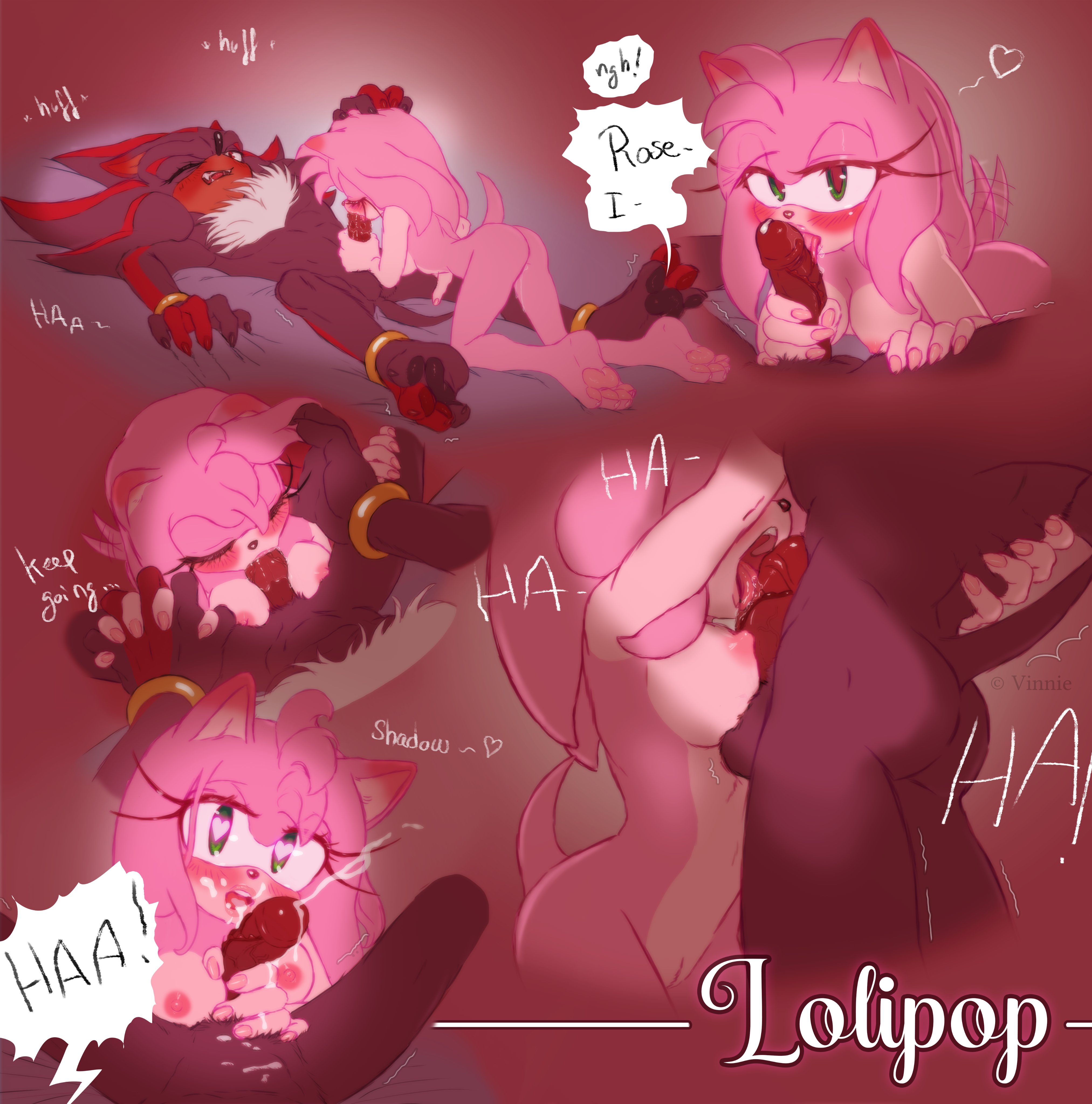 amy rose, shadow the hedgehog, sonic (series), sonic the hedgehog (series), vinnie (thornonarose)