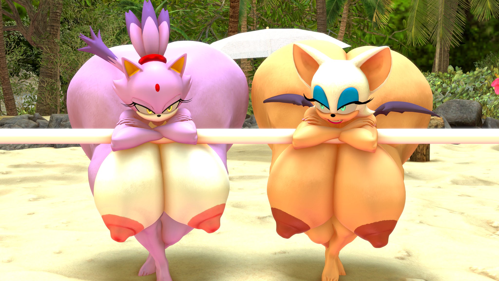2girls, 3d, beach, beach background, blaze the cat, breasts bigger than head, huge ass, huge breasts, hyper, hyper ass, hyper breasts, jealous, rouge the bat, showing breasts, sonic (series), sonic the hedgehog (series), thedoppel