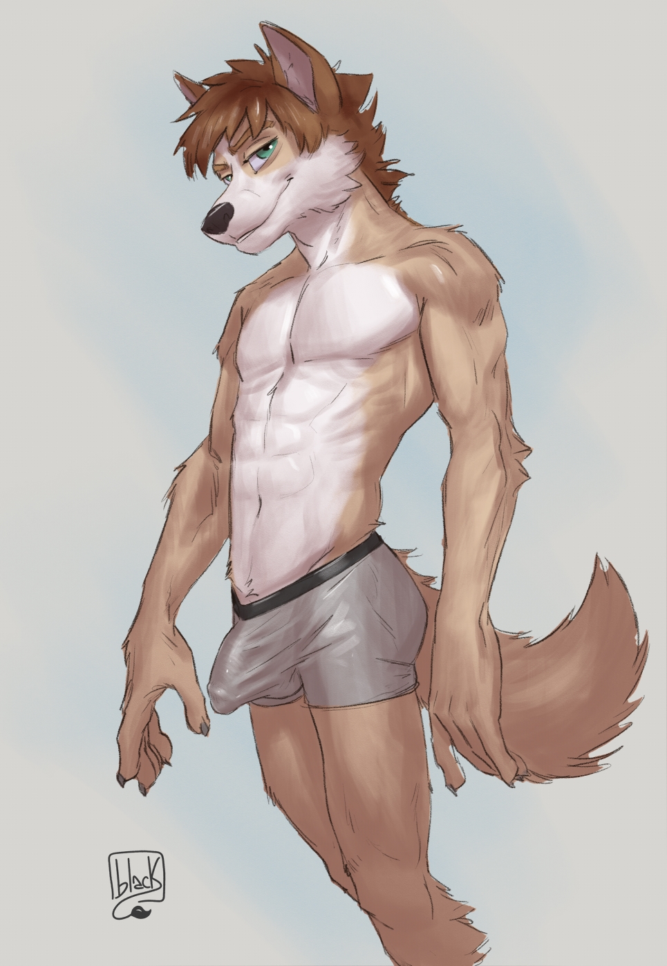 5_fingers abs anthro brown_body brown_hair brown_tail bulge canid canine canis clothing detailed_bulge domestic_dog fingers fur genital_outline green_eyes grey_clothing grey_underwear hair hi_res lion21 looking_at_viewer male male_focus male_only mammal nude penis_outline simple_background smile solo underwear white_body white_fur