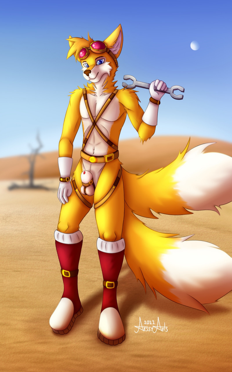 animal_genitalia anthro arssyarts balls canid canine eyewear fox genitals goggles hi_res male_only mammal outside sega sheath solo_male sonic_(series) sonic_the_hedgehog_(series) tails tools wrench