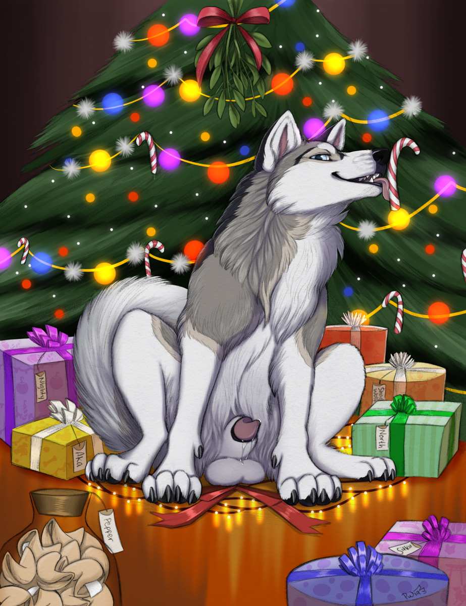 blue_eyes candy_cane canine christmas christmas_tree cloud_the_husky cum feral fortune_cookie furaffinity furry_only grey_fur licking looking_at_viewer male paws presents sheath teeth white_balls white_fur