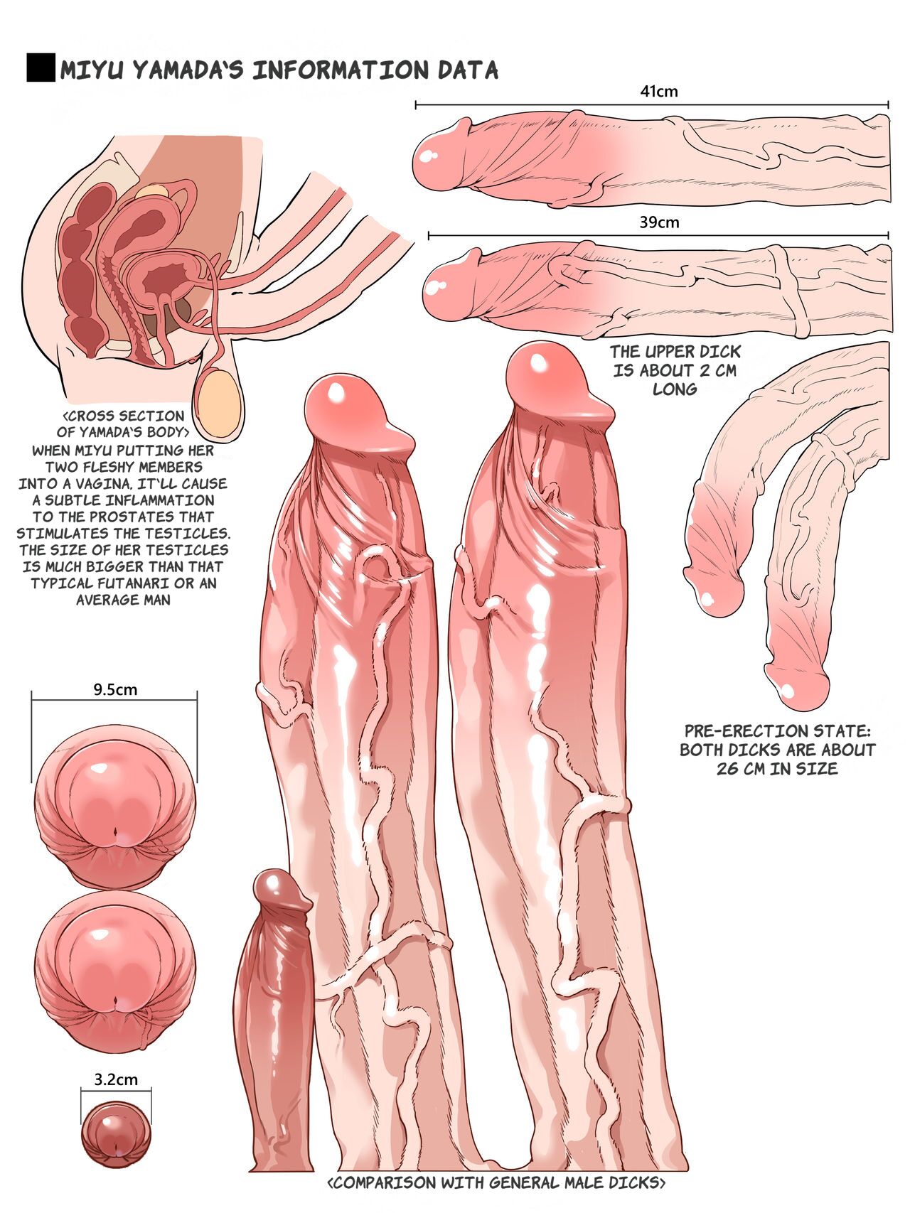 10_inch_penis 15_inch_penis 16_inch_penis 1futa 6_inch_penis anatomical_study anatomy anus balls big_penis bladder breasts cross_section diphallia diphallism erection full-package_futanari futa_anatomy futa_only futanari gomu_(artist) long_penis miyu_yamada multi_penis ovaries penis penis_size_difference pussy tagme uncensored uterus vagina veiny_penis x-ray yamada_miyu_(gomu)