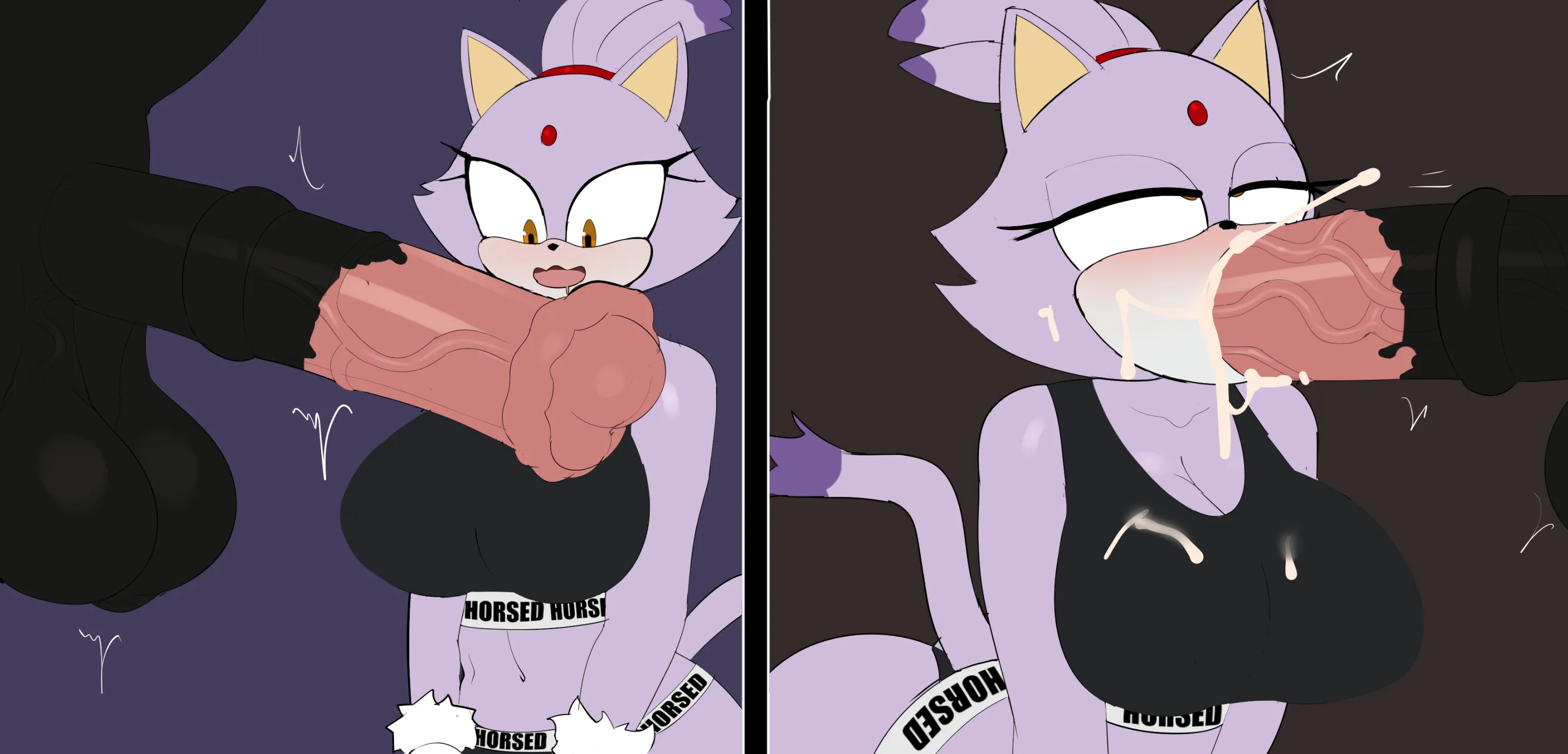 blaze the cat, g3mma, horse, horsecock, horsed, sonic (series), sonic the hedgehog (series), tagme, zoophilia