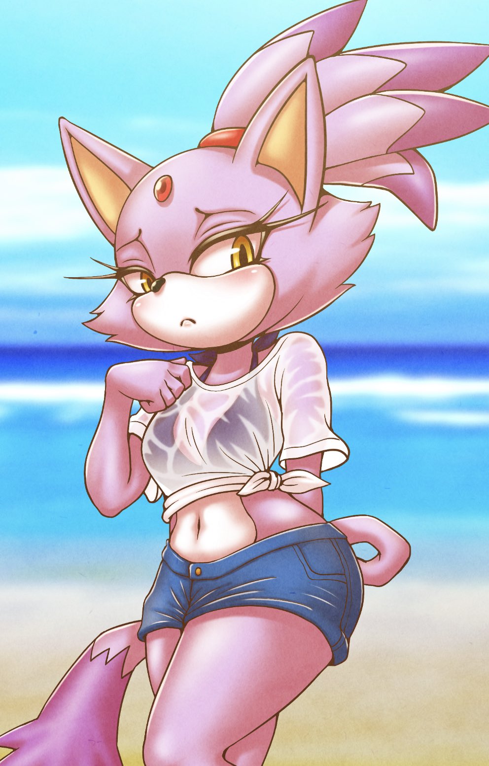 1girls, beach, blaze the cat, clothed, clothing, felid, feline, felis, female, fur, furry, furry only, michiyoshi, outside, shorts, solo, sonic (series), tail, wet clothes