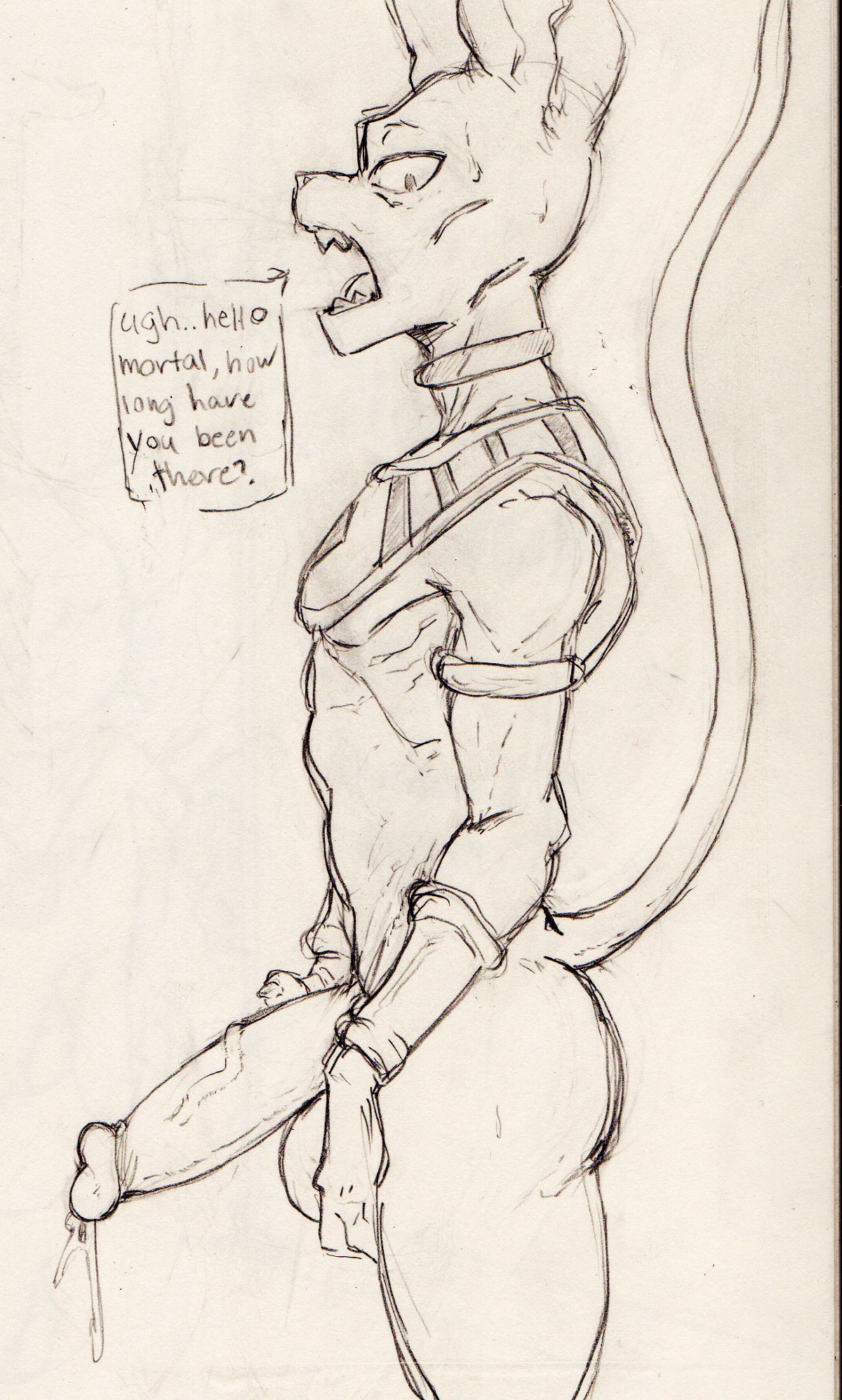 anthro, balls, beerus, big balls, big penis, boner, cyancoyote, dragon ball, dragon ball super, erection, furry, gay, male, male only, monochrome, penis, precum, solo, solo male