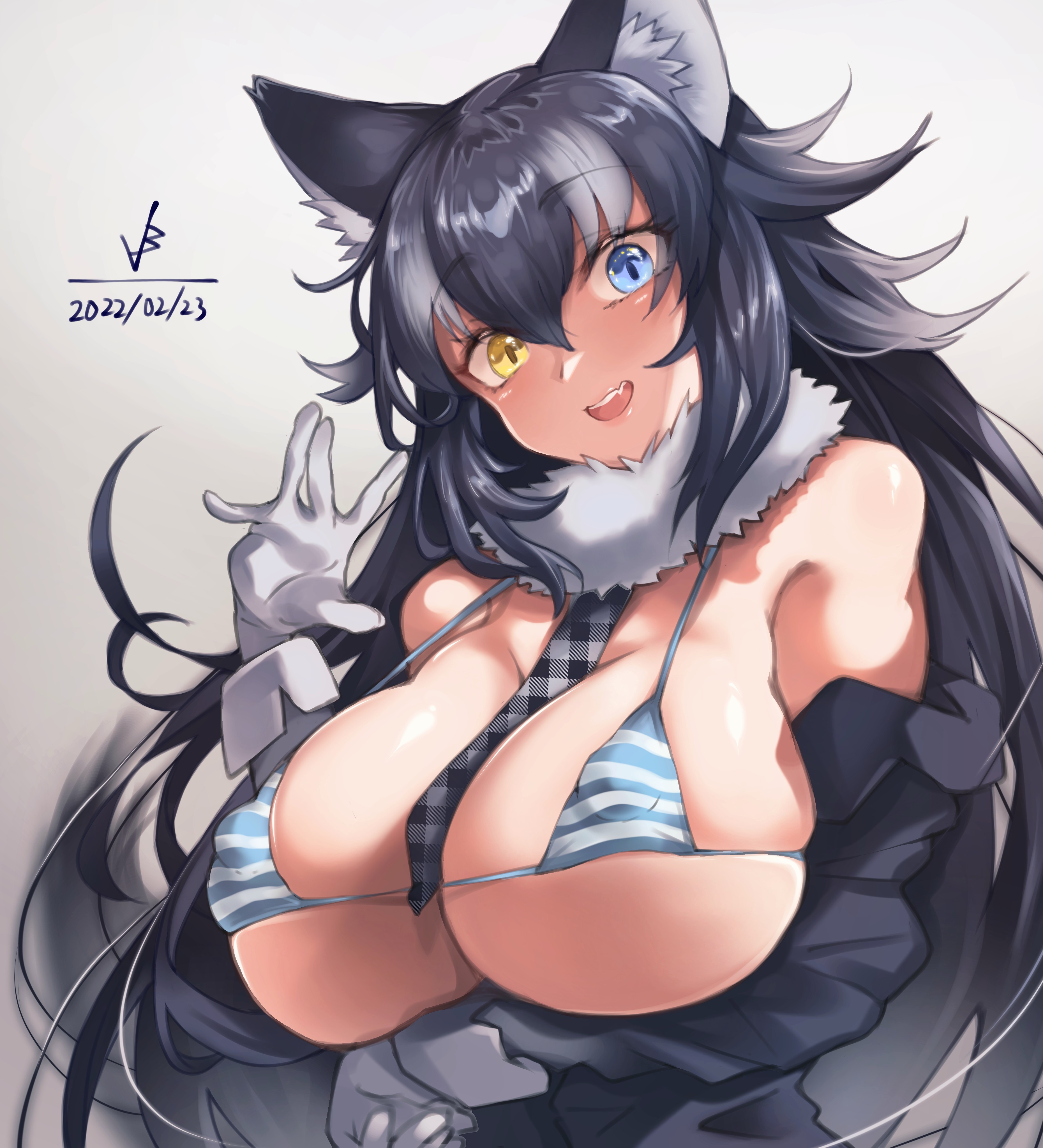 1girls, absurdres, alternate breast size, animal ears, arm under breasts, bangs, bare shoulders, between breasts, bikini, bikini under clothes, black hair, blue eyes, breasts, covered erect nipples, dated, detached collar, eipelppa, eyebrows visible through hair, female, female only, fur collar, gloves, grey hair, grey wolf (kemono friends), hair between eyes, hand up, head tilt, heterochromia, highres, huge breasts, iepelppa, iparuputsua, ipelppa, jacket, kemono, kemono friends, light skin, light-skinned female, long hair, long sleeves, looking at viewer, multicolored hair, necktie, necktie between breasts, off shoulder, open clothes, open jacket, open mouth, skindentation, smile, solo, strap gap, striped, striped bikini, swimsuit, two-tone hair, very long hair, wolf ears, yellow eyes