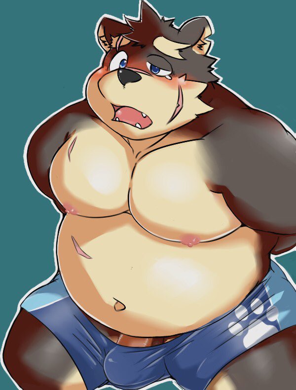 2017 anthro belly black_nose blush bulge bunta_(sisiwaka_3) canid canine canis clothing domestic_dog genitals kemono lifewonders male mammal moobs moritaka navel nipples overweight overweight_male penis scar simple_background solo tokyo_afterschool_summoners underwear video_games