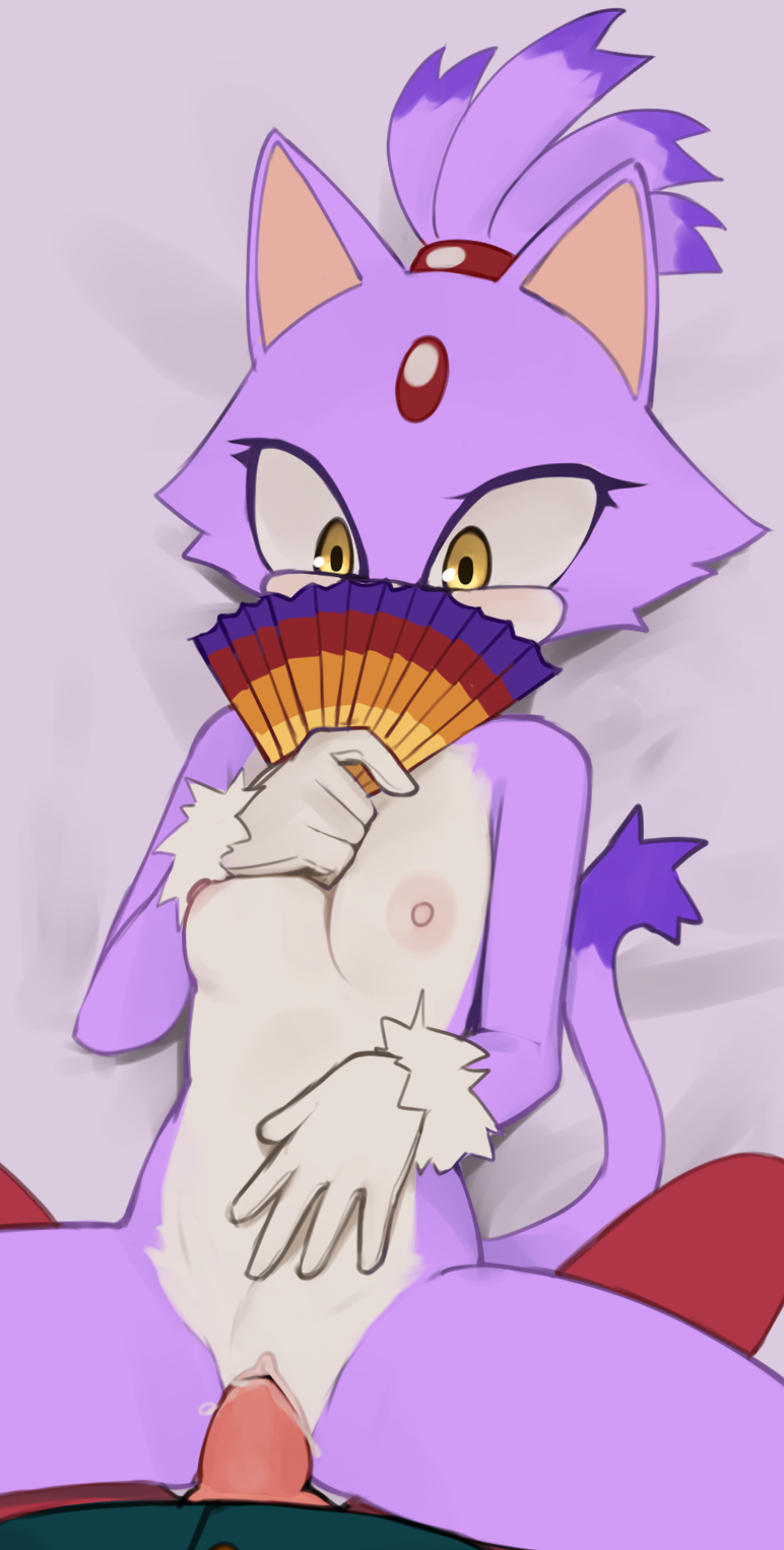 1boy 1girls blaze_the_cat breasts female flat_chest fur furry male naked ni...