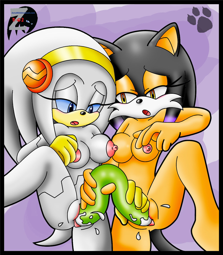 brass_the_cat colored_background furry sex_toy sonic_(series) yuri zeta_r-02 zeta_the_echidna zetar02