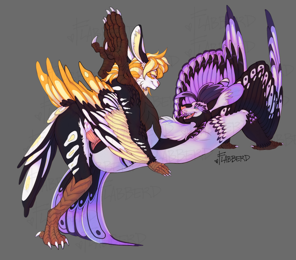 anthro aven avian_feet brieve_(sergeanthax) claws cuntboy duo feather_hair feathered_crest feathered_wings feathers finger_claws flabberd from_front_position futanari head_crest inner_ear_fluff intersex intersex/intersex long_ears looking_at_another lying missionary_position on_back pseudo_hair sex tail tail_feathers toe_claws tuft vena_(sergeanthax) wings