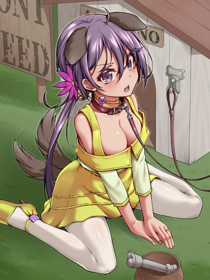 afterimage akebono_(kantai_collection) alternate_breast_size animal_collar animal_ears bell blush bone bowl breasts cleavage collar dog_ears dog_tail doghouse female flower hair_bell hair_between_eyes hair_flower hair_ornament high_heels jewelry jingle_bell kantai_collection leash long_hair long_sleeves medium_breasts official_alternate_costume open_mouth pantyhose pet_bowl pink_flower purple_eyes purple_hair ring side_ponytail sitting solo tail wariza wedding_band white_legwear yellow_flower yuki_to_hana