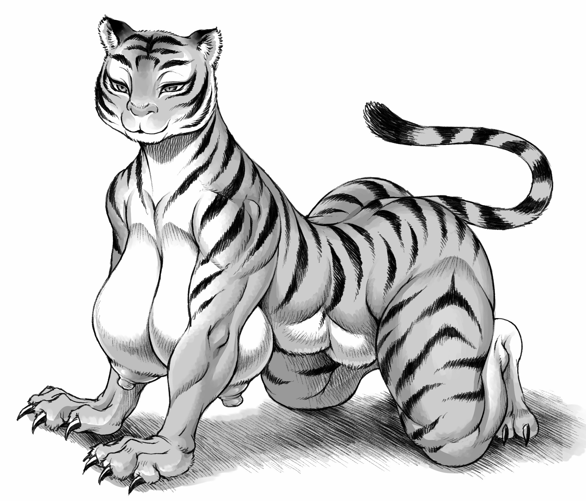 1girls, all fours, animal ears, bare shoulders, big breasts, bimbo, black and white, breasts, busty, claws, curvy, double, double deck, erect nipple, erect nipples, eyelashes, female, female only, front view, furry, hourglass figure, humanoid, kneeling, looking at viewer, monster, muscles, muscular, muscular female, nipples, pose, posing, simple background, sketch, solo, spread legs, spreading, tail, thick thighs, tiger, tiger girl, voluptuous, white background, wide hips