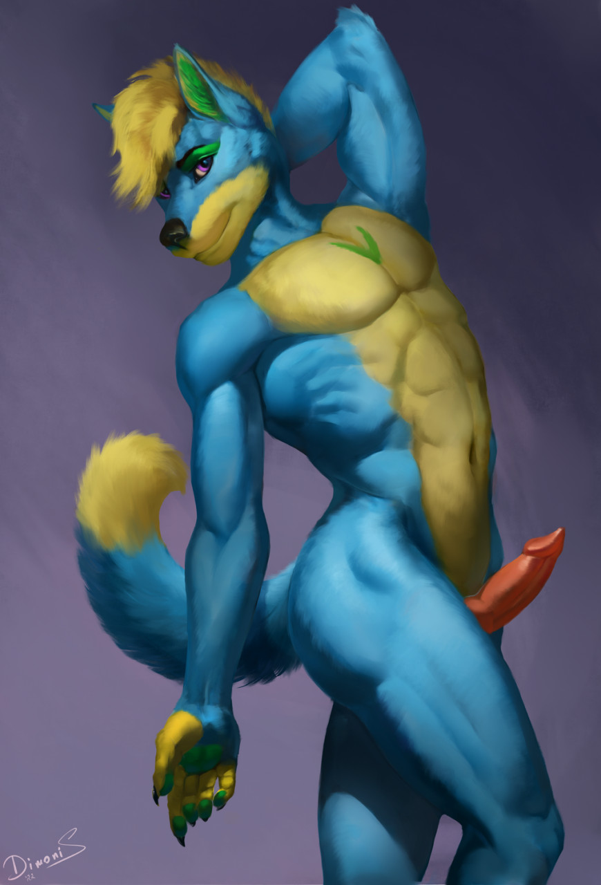 2022 animal_genitalia animal_penis anthro athletic athletic_anthro athletic_male blonde_hair blue_body blue_fur canid canine canis coyote dimonis erection fur genitals green_ears hair hi_res knot male mammal multicolored_body nude penis pinup pose purple_eyes signature simple_background smile solo watermark yellow_body yellow_fur