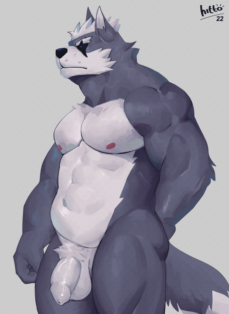 2022 abs anthro balls canid canine canis flaccid foreskin fur genitals grey_body grey_fur hi_res hittoga male male_only mammal muscular muscular_anthro muscular_male nintendo nipples pecs penis scar simple_background solo star_fox video_games wolf wolf_o'donnell