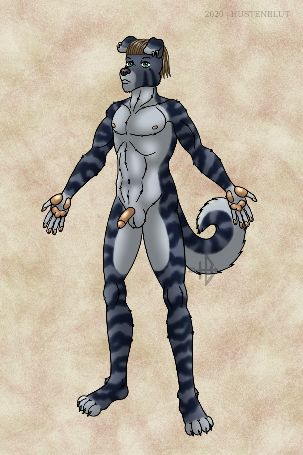 anthro brown_hair canid canine canis curled_tail domestic_dog ear_piercing floppy_ears fur green_eyes hair hans_grimm hi_res humanoid hustenblut male mammal nipples piercing presenting solo striped_body striped_fur stripes