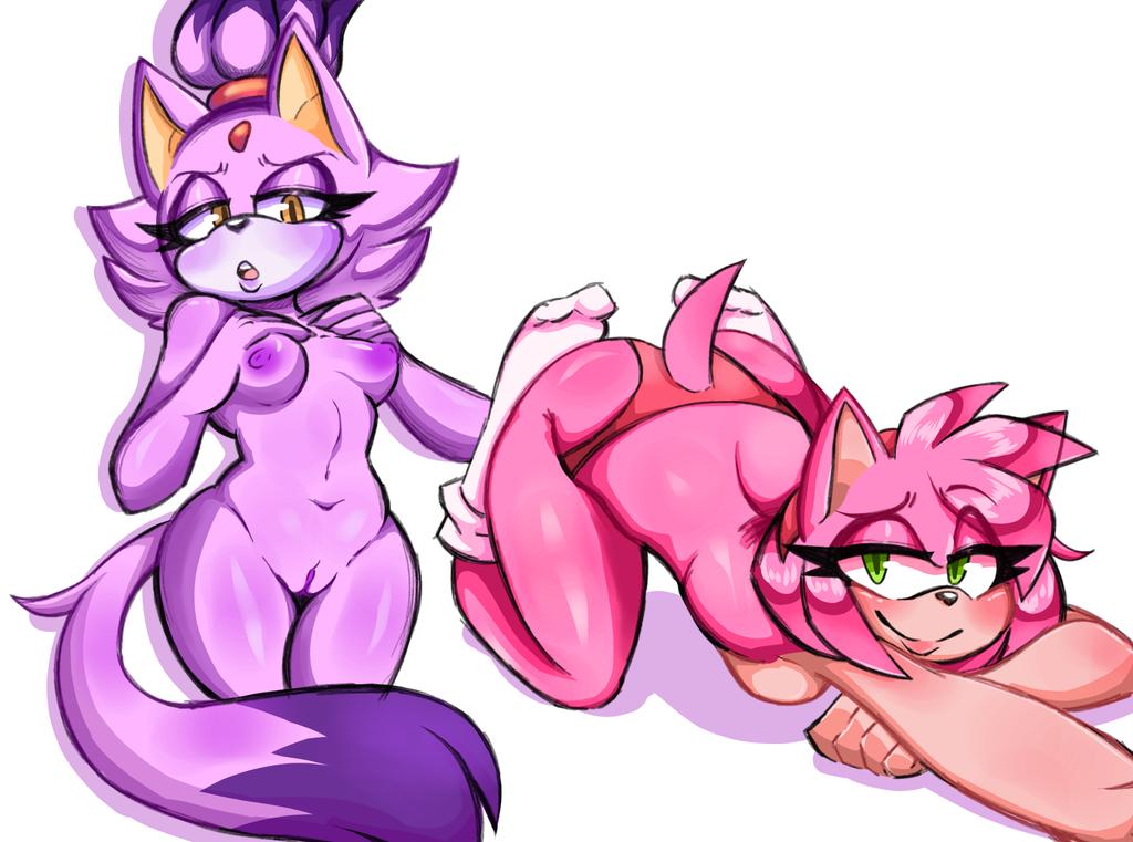 amy_rose anthro blaze_the_cat breasts clothed clothing domestic_cat duo eulipotyphlan felid feline felis female genitals hedgehog looking_at_viewer mammal mayghely naked nipples nude panties pussy sega sonic_(series) sonic_the_hedgehog_(series) topless underwear