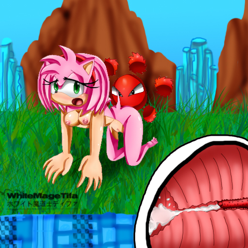 1girls all_fours amy_rose anthro blush breast breasts cum cum_in_pussy cum_in_uterus cum_inside female from_behind fur green_eyes hedgehog interspecies male mammal nipples open_mouth penetration pussy short_hair size_difference sonic_(series) straight uterus vaginal_penetration whitemagetifa x-ray