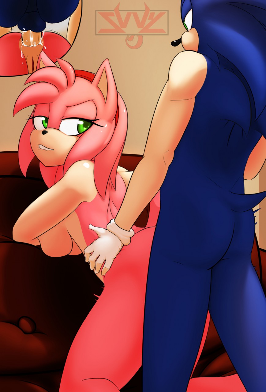 Amy Rose (Sonic (Series)) Rule 34 Image