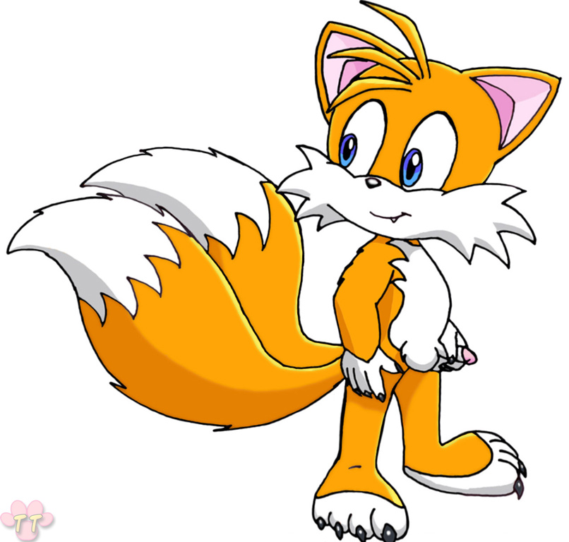 anthro barefoot canine fox fur looking_back male male_only mammal nude solo sonic_(series) standing tagme tail tails twotails