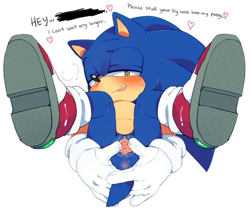 anthro, anus, ass, asshole, begging, begging for sex, blue fur, cuntboy, cute, furry, hedgehog, intersex, pussy, sega, sonic (series), sonic the hedgehog, sonic the hedgehog (series), spread pussy