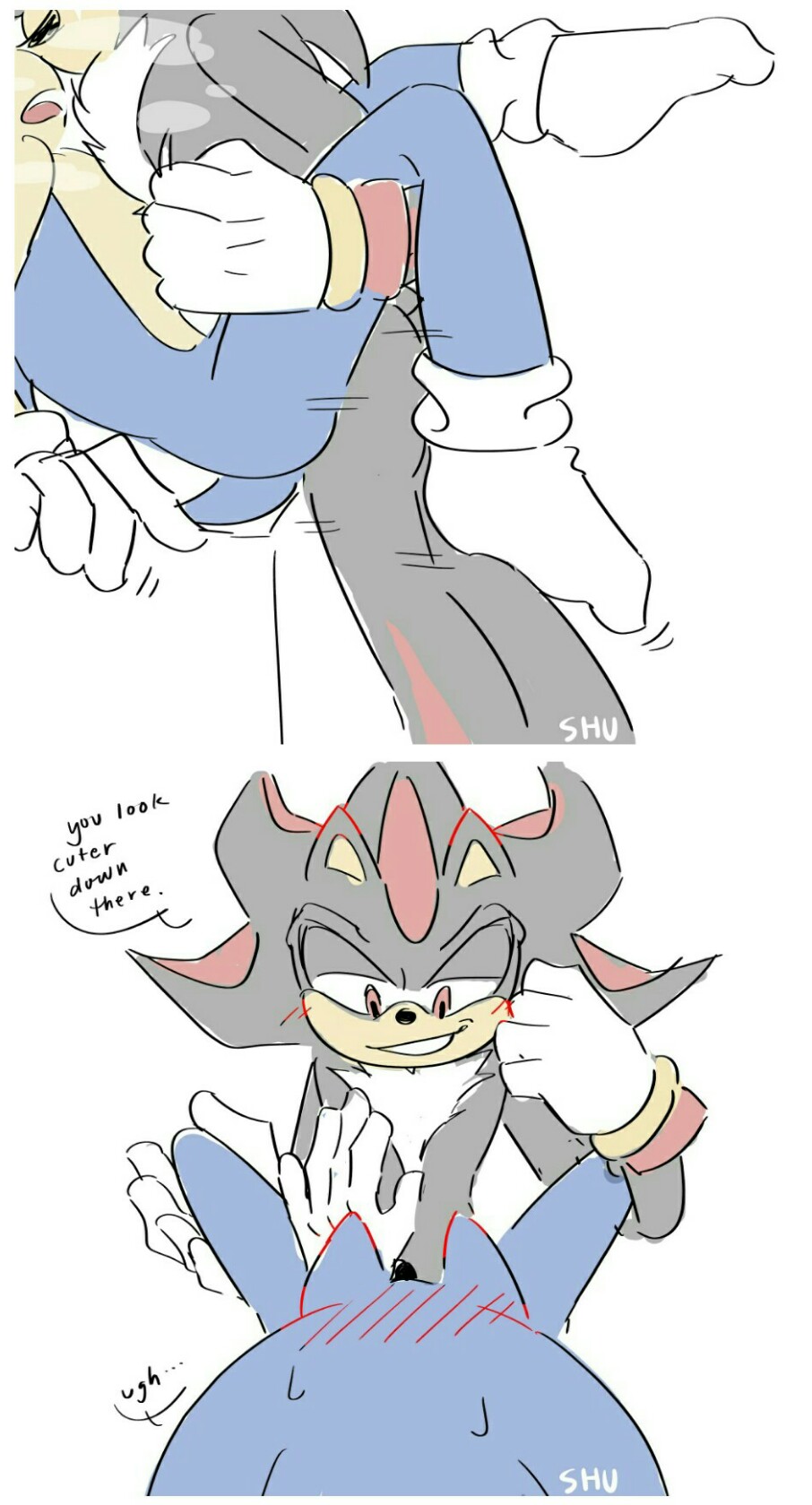 2boys, anthro, blush, dominant, furry, gay, male, penis, sega, sex, shadow the hedgehog, sonadow, sonic (series), sonic the hedgehog, sonic the hedgehog (series), yaoi
