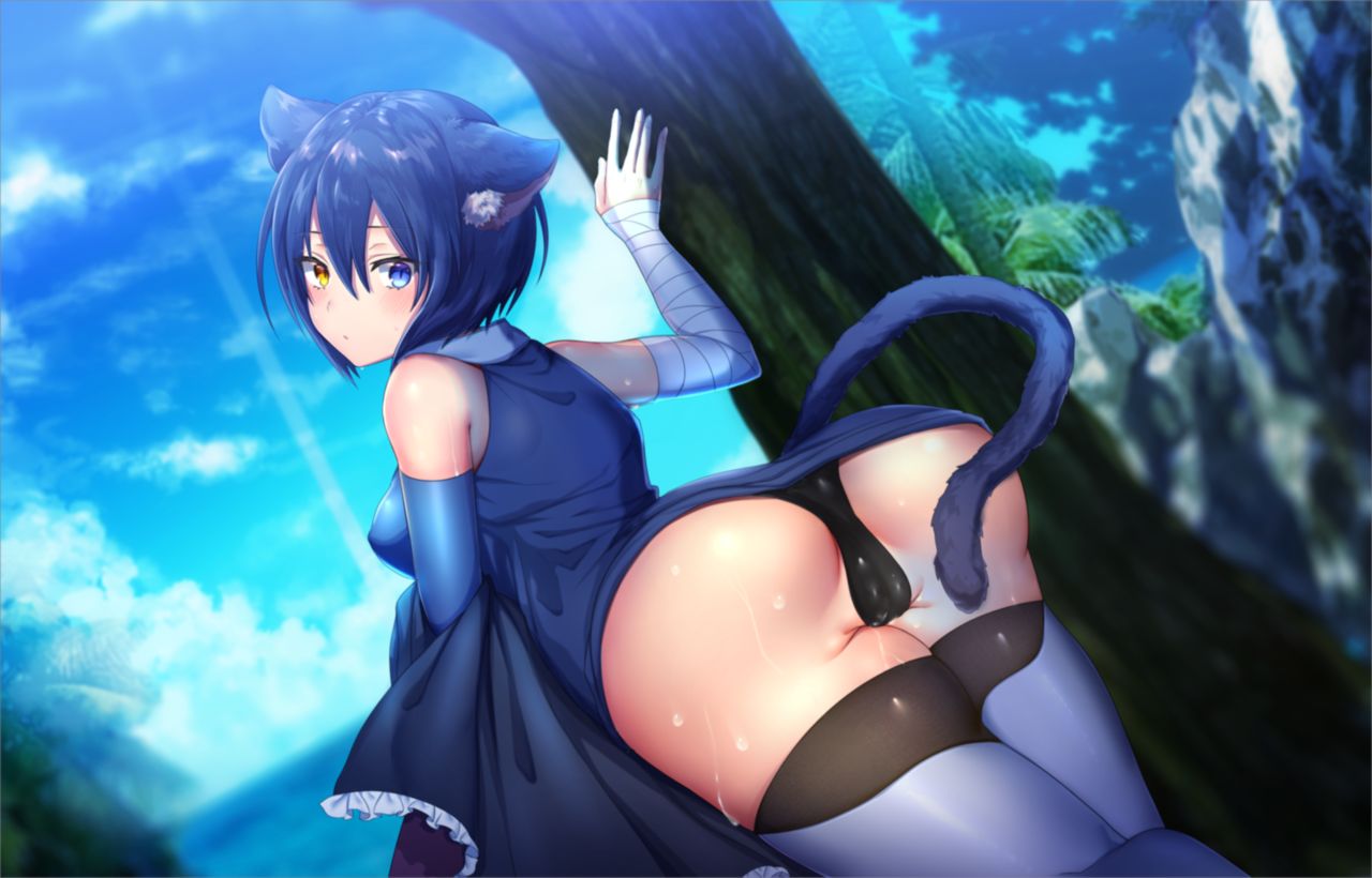 1girls blush breasts cameltoe cat_ears cat_humanoid cat_tail catgirl clothed clothing female female_only game_cg heterochromia lil_(versus_tales_x) looking_at_viewer looking_back nutaku otogi_frontier otogi_frontier_r outside panties purple_hair sweat tree versus_tales_x