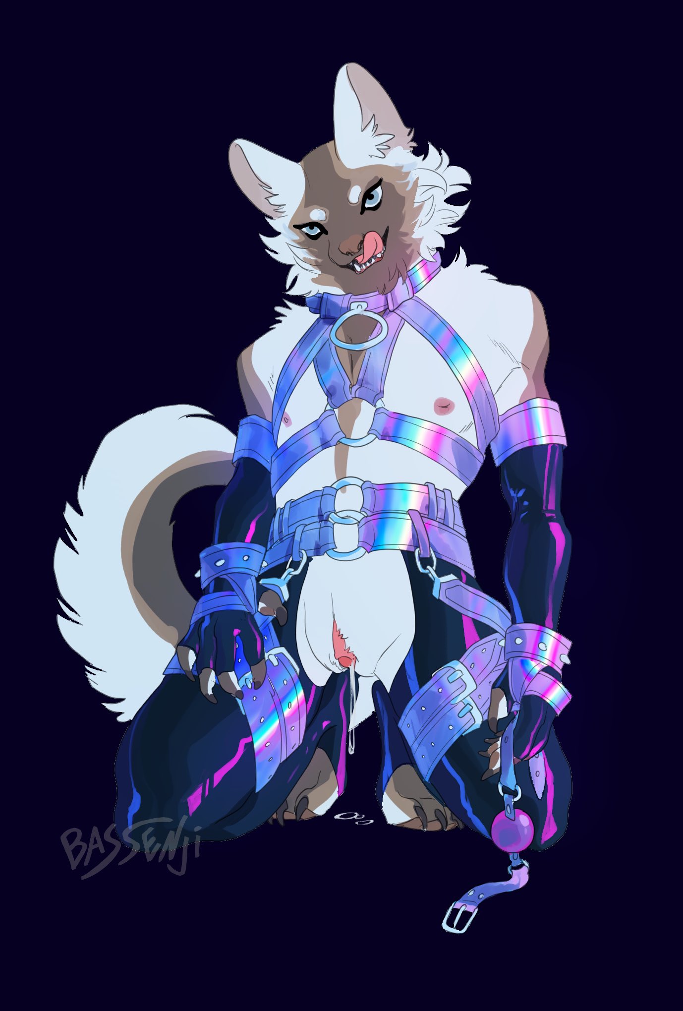 2020 anthro ball_gag bassenji blue_background blue_eyes cuntboy felid feline gag genitals harness hi_res intersex mammal nipples purple_ball_gag pussy simple_background solo