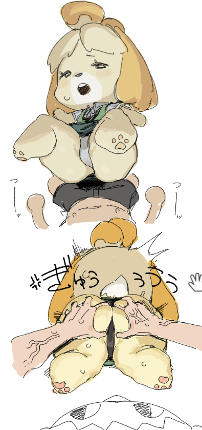 2023, animal crossing, ass, ass grab, big ass, blush, blush lines, canine, disembodied hands, dog ears, dog girl, dog tail, female, half-closed eyes, haramikarubi, isabelle (animal crossing), japanese text, navel, nintendo, orange fur, orange hair, panties, pawpads, simple background, spread ass, spread legs, sweat, tail, veiny arms, villager (animal crossing), yellow body, yellow hair