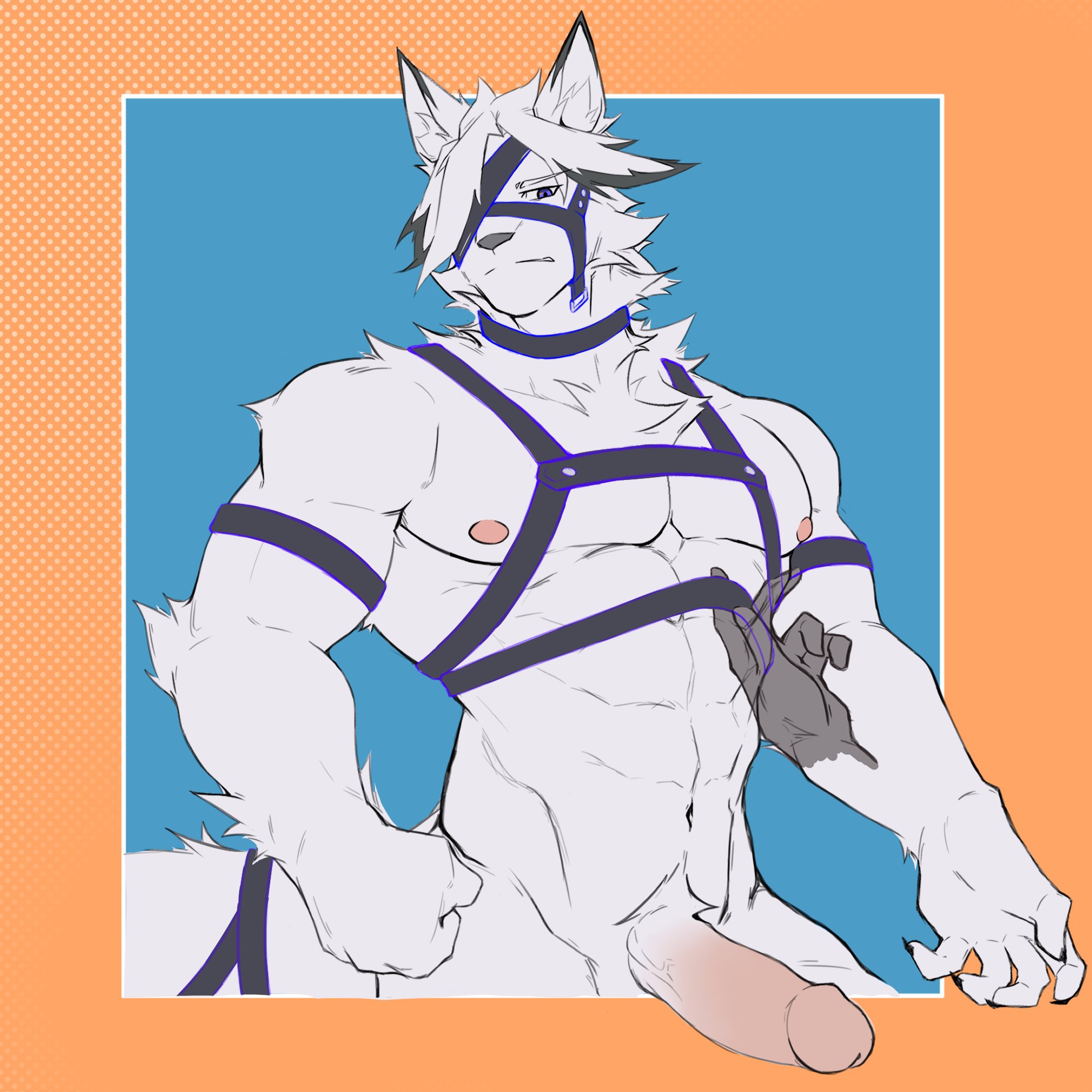 abs, animal ears, anthro, big penis, boner, bridle, canid, canine, canis, dog ears, elainehwang, erect penis, erection, eyepatch, fur, furry, furry ears, furry tail, grey eyes, harness, male, male focus, male only, mammal, muscular, muscular anthro, muscular male, nipples, nude, pecs, penis, purple eyes, thick legs, thick penis, thick thighs, thighs, von lycaon, white body, white fur, white hair, white penis, wolf, wolf ears, zenless zone zero