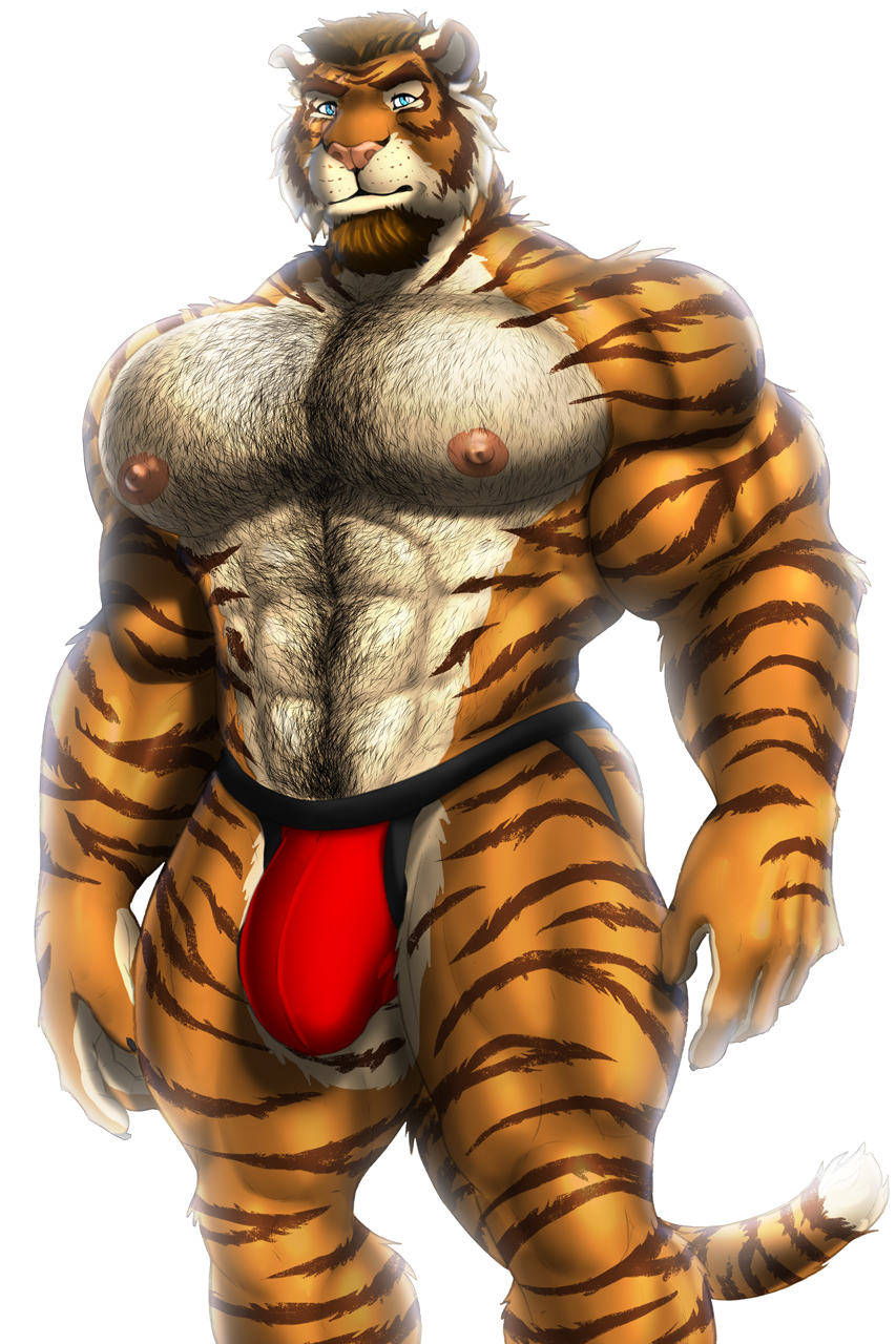 2022 abs anthro beard biceps big_bulge big_muscles body_hair bulge chest_hair clothing deltoids dream_and_nightmare facial_hair felid fur happy_trail hi_res jockstrap male male_focus male_only male_solo mammal muscular muscular_male nipples orange_body orange_fur pantherine pecs quads red_jockstrap simple_background solo solo_male tiger underwear white_background