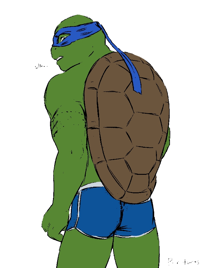 Leonardo (Tmnt) Rule 34 Image