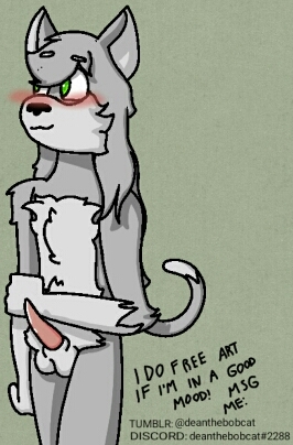 balls blush bobcat feline feline_penis furry furry_only gay green_eyes grey grey_fur male no_humans penis shy standing