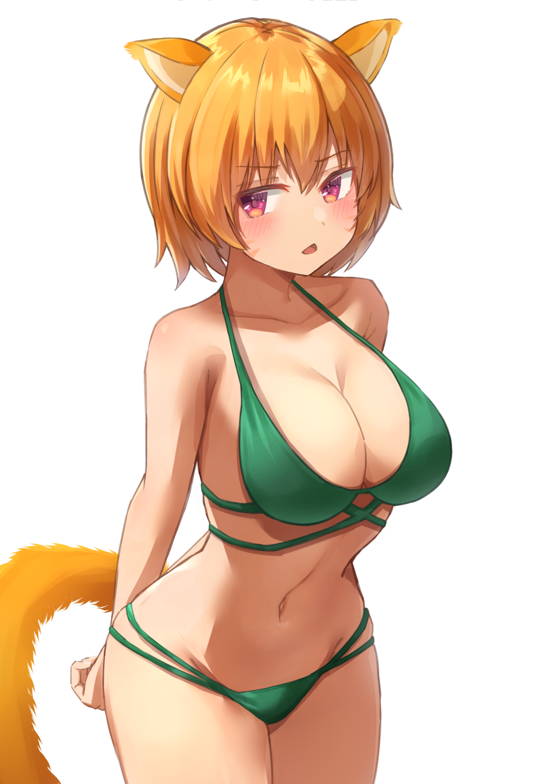 1girls alternate_costume belly_button bikini blush cat_ears cat_tail catgirl cleavage curvy face_markings fire_emblem fire_emblem:_path_of_radiance fire_emblem:_radiant_dawn green_bikini green_swimsuit laguz_(race) large_breasts lethe_(fire_emblem) looking_at_viewer nintendo nyankonokuni orange_fur orange_hair purple_eyes short_hair solo swimsuit tsundere