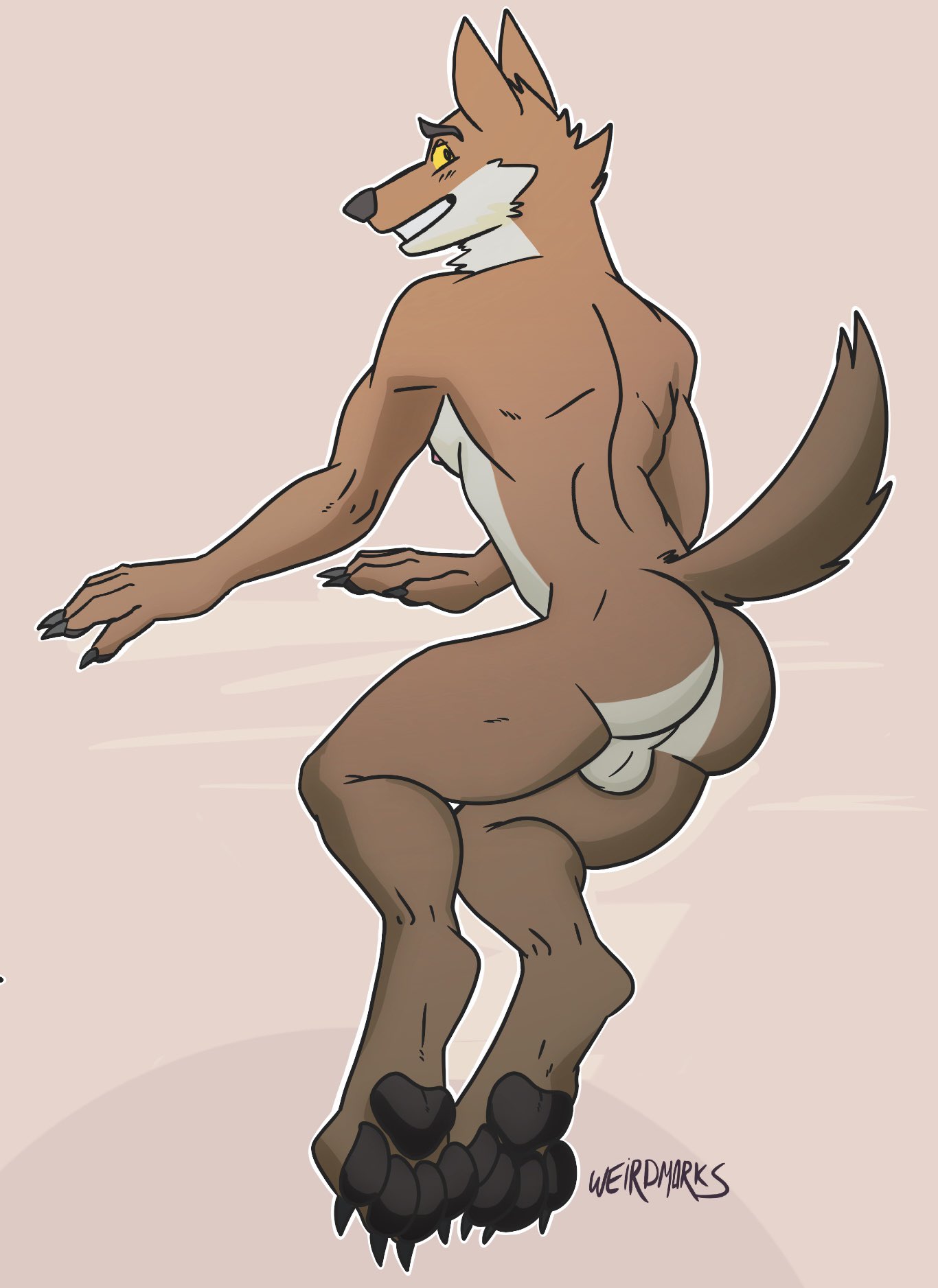 anthro ass balls canid canine canis claws dreamworks furry genitals hi_res looking_at_viewer looking_back looking_back_at_viewer male male_only mammal mr._wolf_(the_bad_guys) nude pawpads paws simple_background solo the_bad_guys weirdmarks wolf