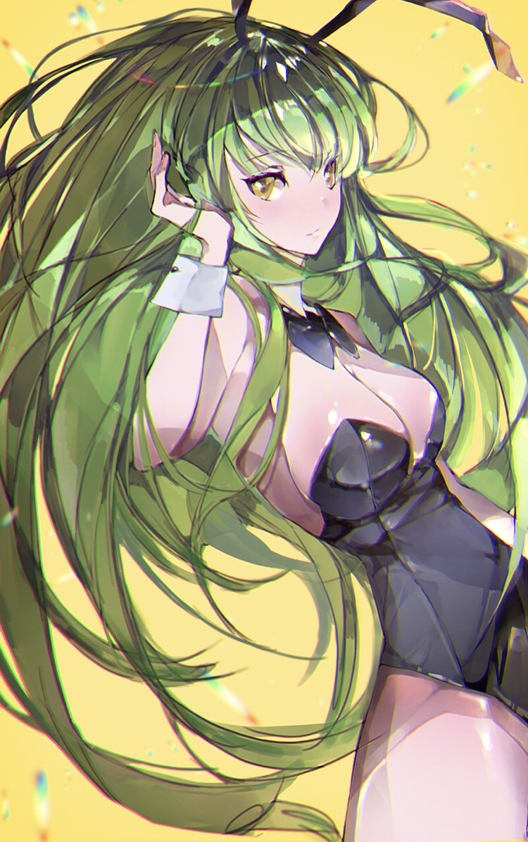 bunnysuit, c.c., charu (mmg g99), code geass, female, tagme