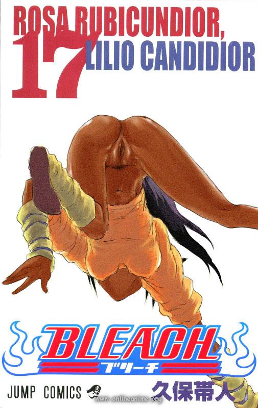 1girls all_fours ass back bleach bottomless dark-skinned_female dark_skin female female_only long_hair no_panties ponytail pussy shihouin_yoruichi solo tied_hair tite_kubo