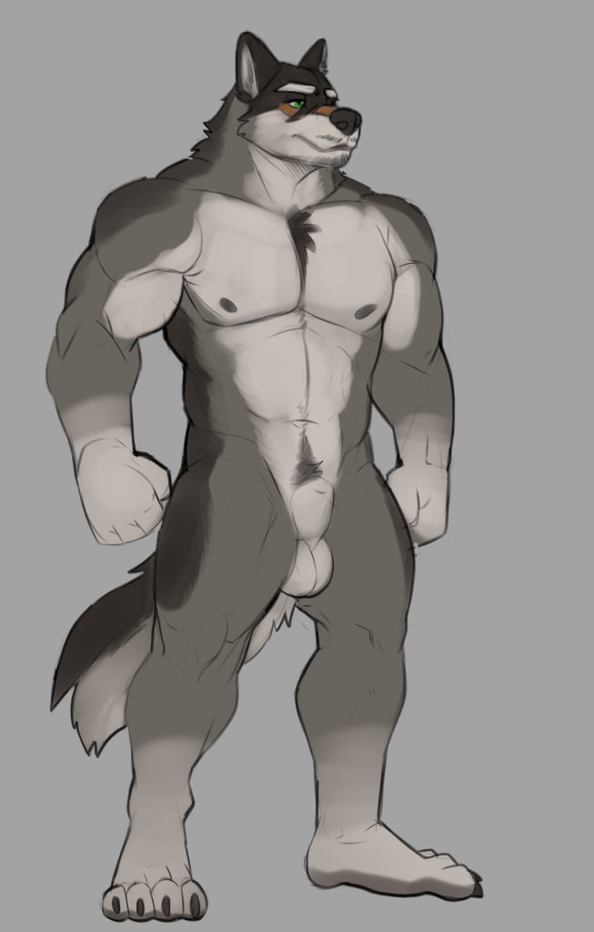 2022 anatomically_correct anatomically_correct_genitalia animal_genitalia anthro balls biceps canid canine canis digital_media_(artwork) eyebrows fully_sheathed fur genitals horrorbuns hudson_(horrorbuns) male mammal muscular muscular_anthro muscular_male muscular_thighs nipples nude pecs quads sheath simple_background solo wolf