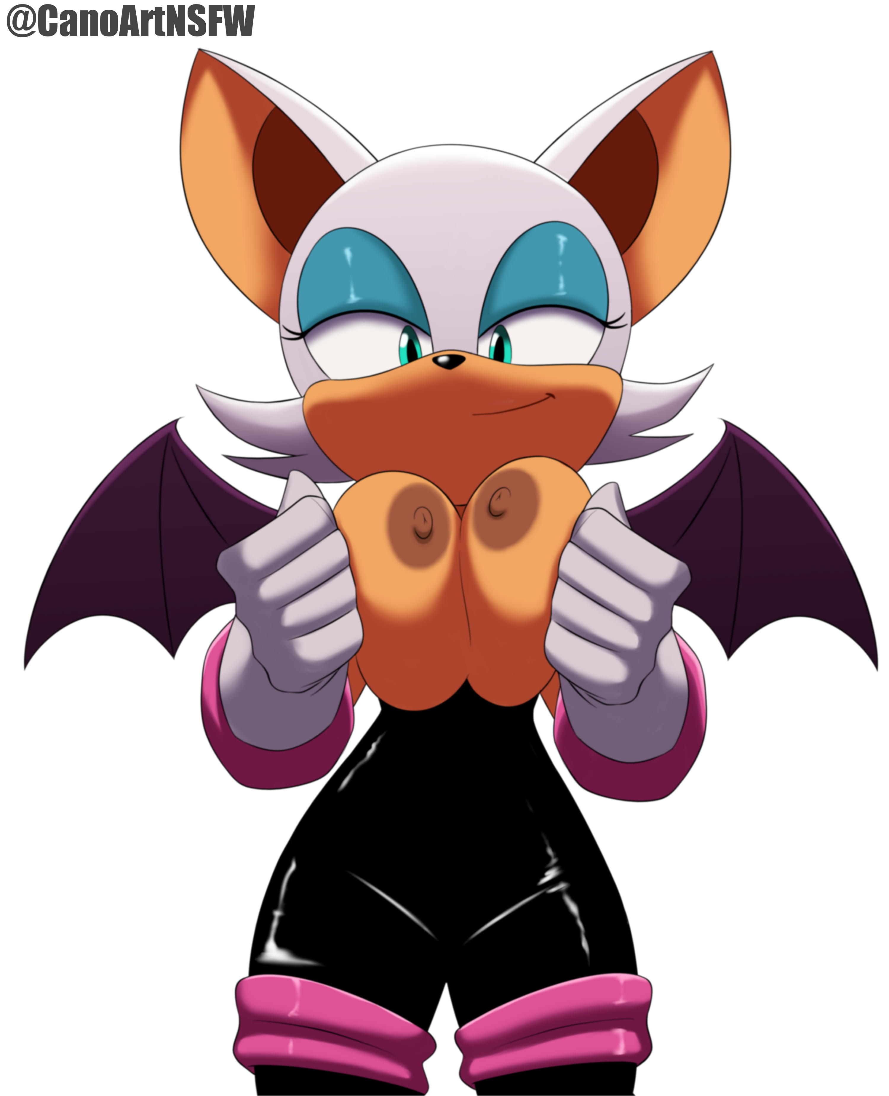 2d, anthro, bat, busty, busty female, busty girl, canoartnsfw, cat burglar, curvaceous, curvy, curvy body, curvy female, curvy figure, curvy hips, female, female focus, female only, hourglass figure, huge boobs, huge breasts, latex, mobian, mobian (species), rouge the bat, sega, sexy, sonic (series), tagme, voluptuous, voluptuous body, voluptuous female, wide hips