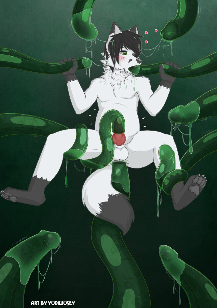 1boy anthro anthro_only arctic_fox ass black_hair blush bulge canine cum drippy erection fox fur furry heart interspecies male male_only messy nude oral paws penis penis_tentacle robbygood spitroast spread_legs suspension tail tentacle tentacle_fellatio tentacle_grab testicles text yuniwolfsky yuniwusky