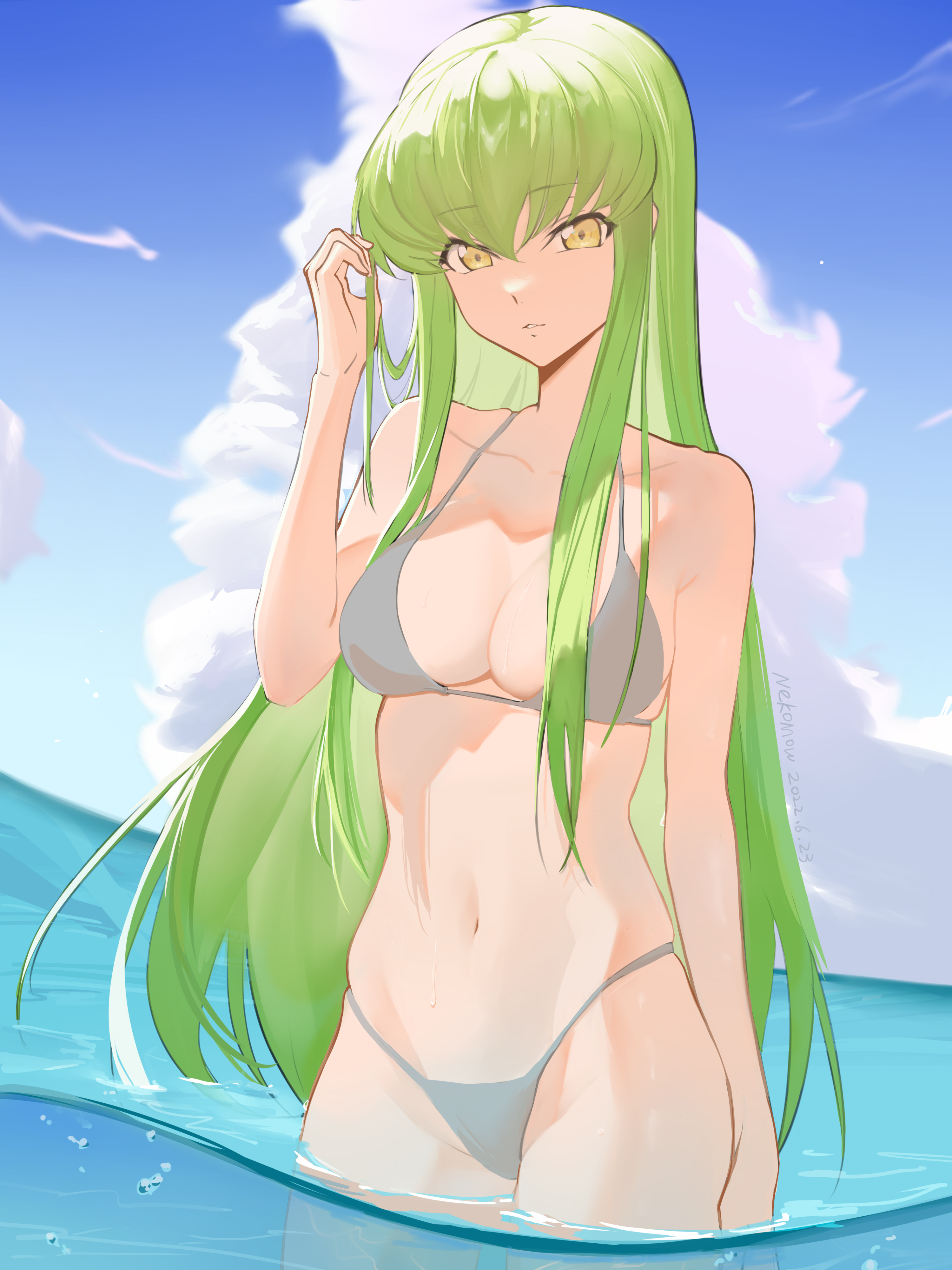 beach, big breasts, bikini, breasts, c.c., code geass, curvy, detailed background, female, looking at viewer, nekomow, outside, swimsuit, tagme, water, wide hips